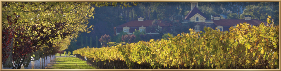 napa valley wineries