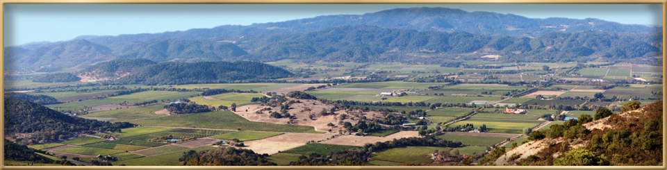 napa valley wine tours