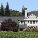 More of our Favorite Napa Valley Wineries!