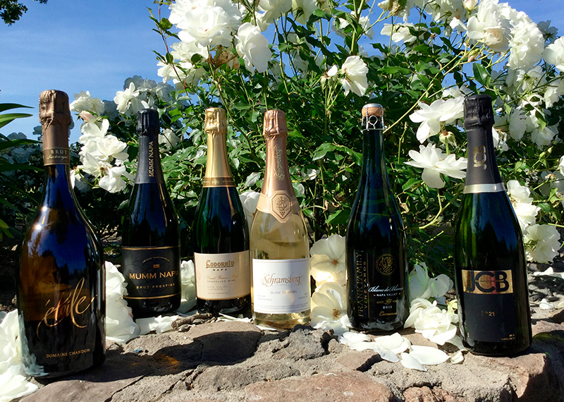 Bubbles Jam in the Napa Valley Wine Tasting