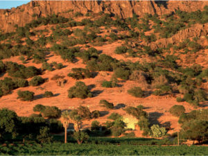 Stags Leap District Napa Valley