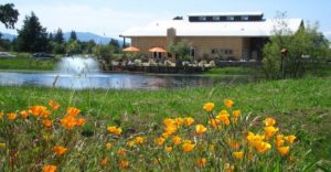 Reynolds Family Wines